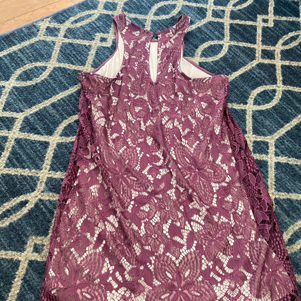 Express lace dress